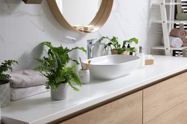 Zelena biljka ulepšava prostor oko umivaonika u belom kupatilu